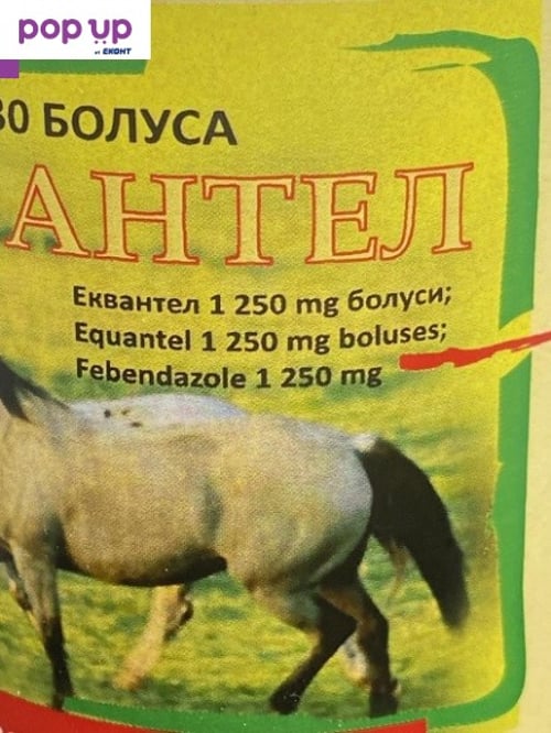 ЕКВАНТЕЛ за коне - 30 болуса