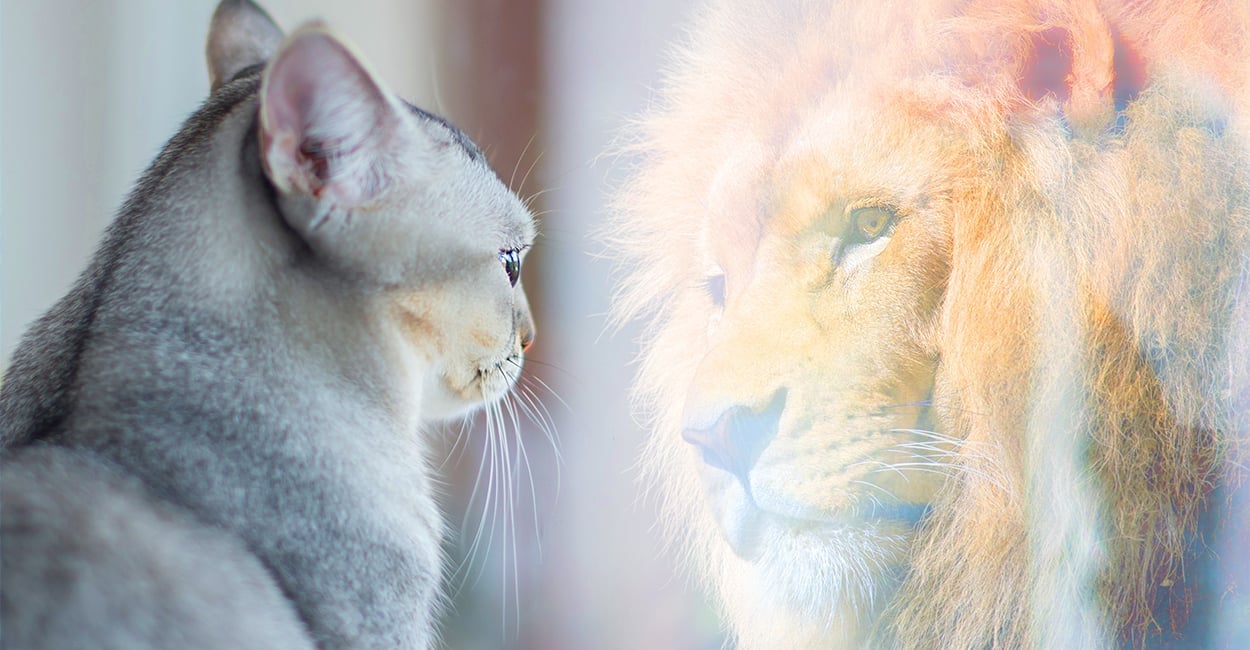 The 16 Best Personal Development Blogs to Read in 2025