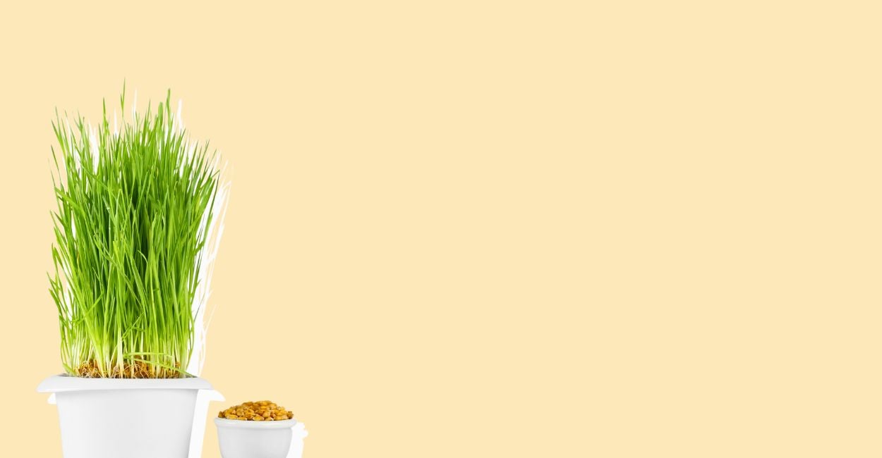 77 Office Decor Ideas & Tips That’ll Make ANY Office Glow