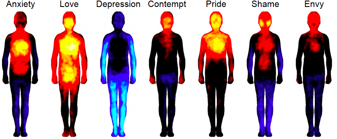Emotion Maps: How Emotions Change in the Body