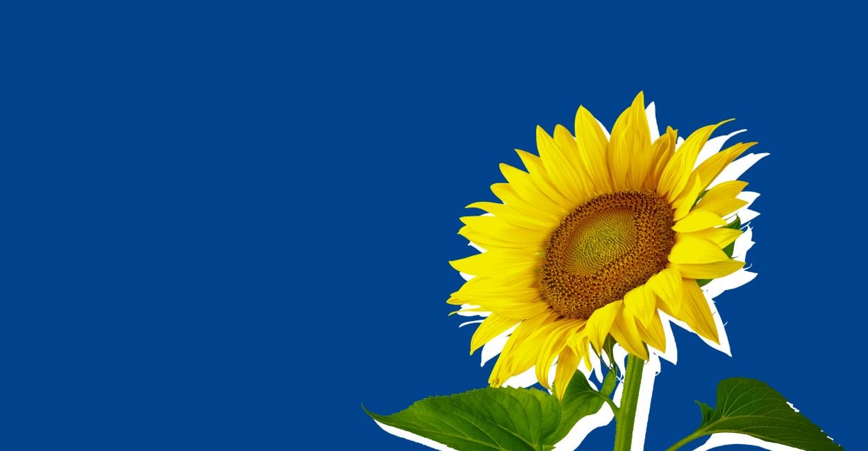 141 Tips to Painlessly Make Someone’s Day & Spread Cheer