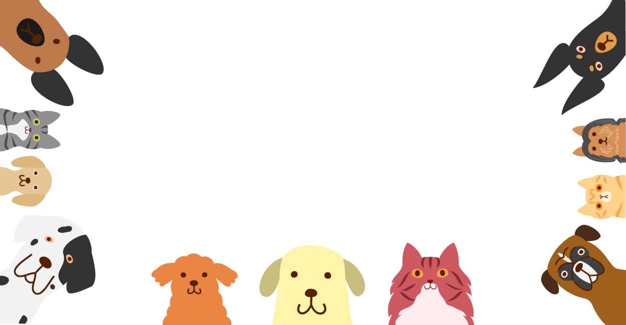 Dog Body Language: How to Speak Canine