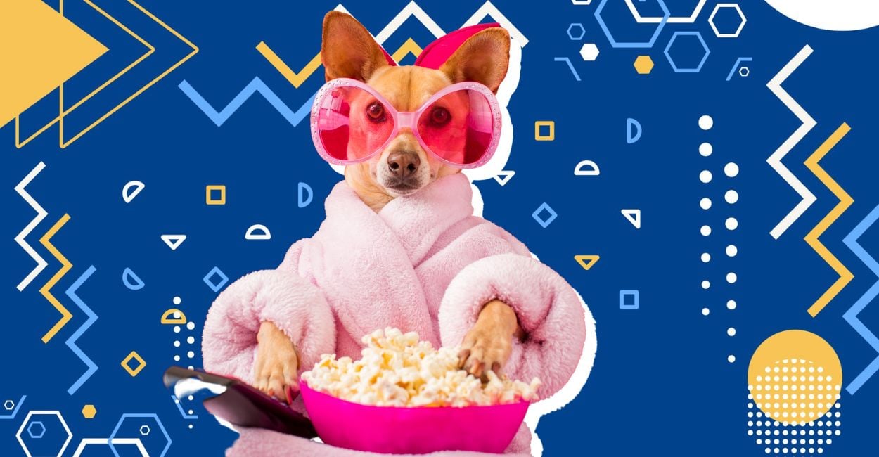 What Are Parasocial Relationships, And Are You in One?