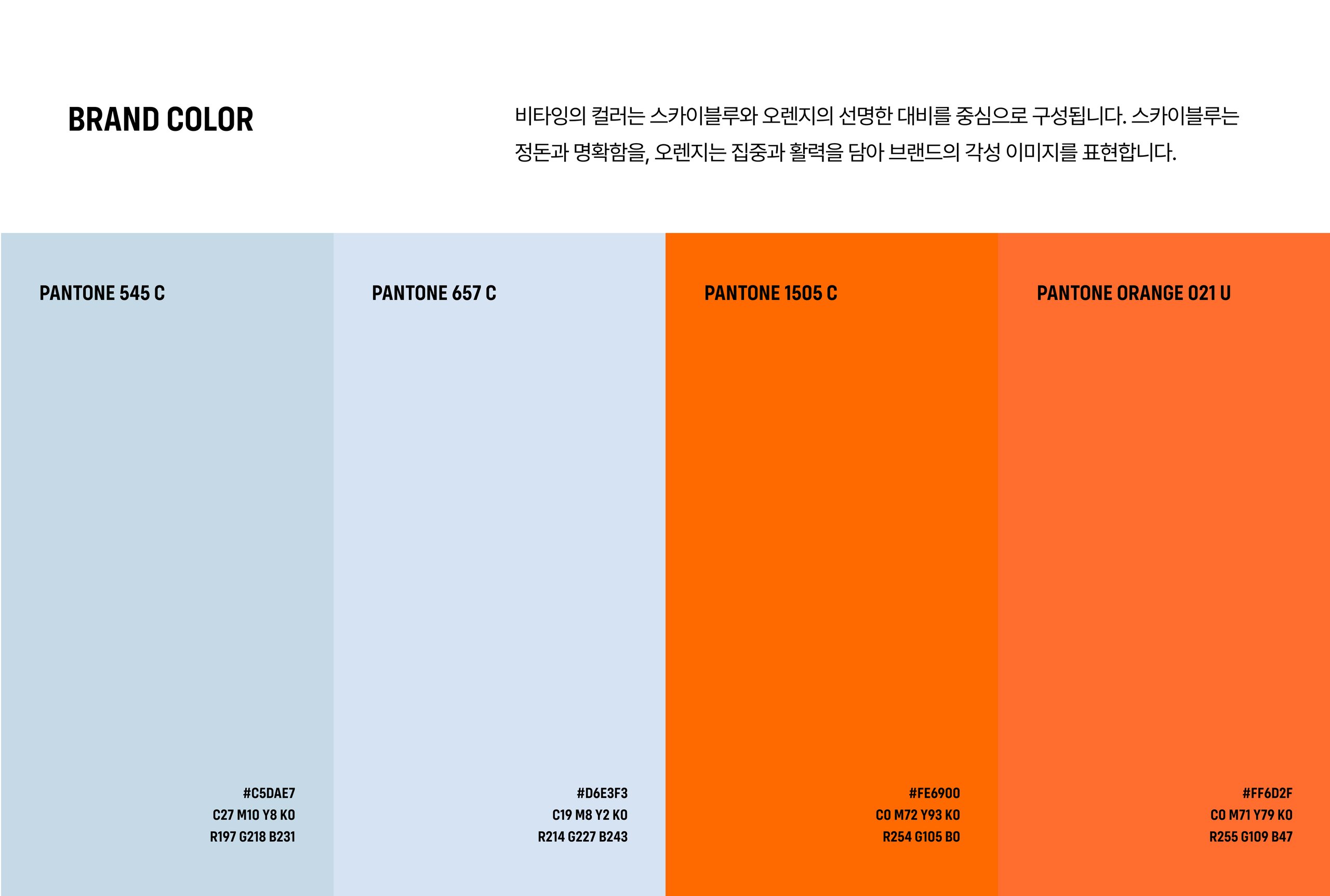 비타잉 브랜드 디자인