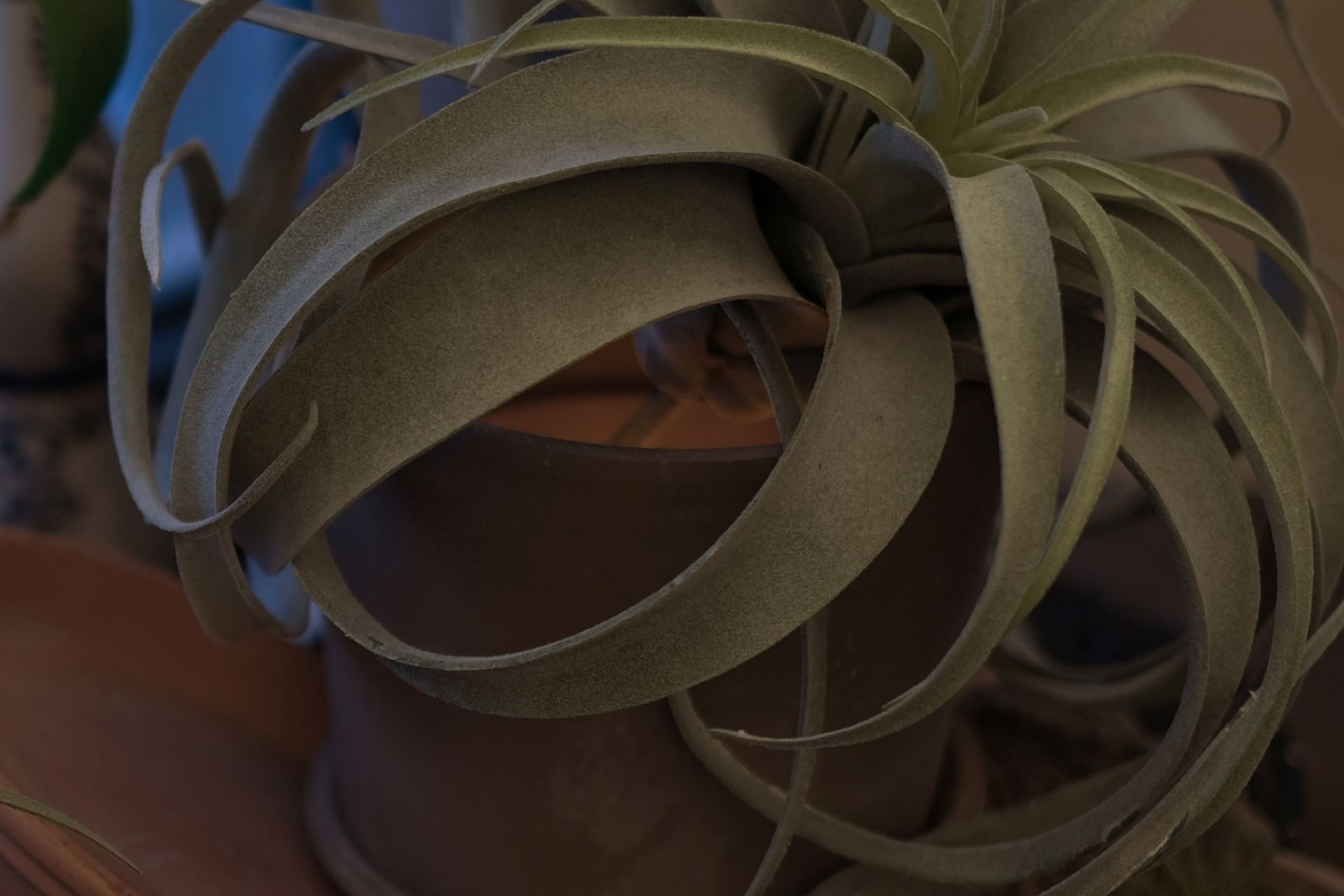 EL MOLINO
브랜드 디자인