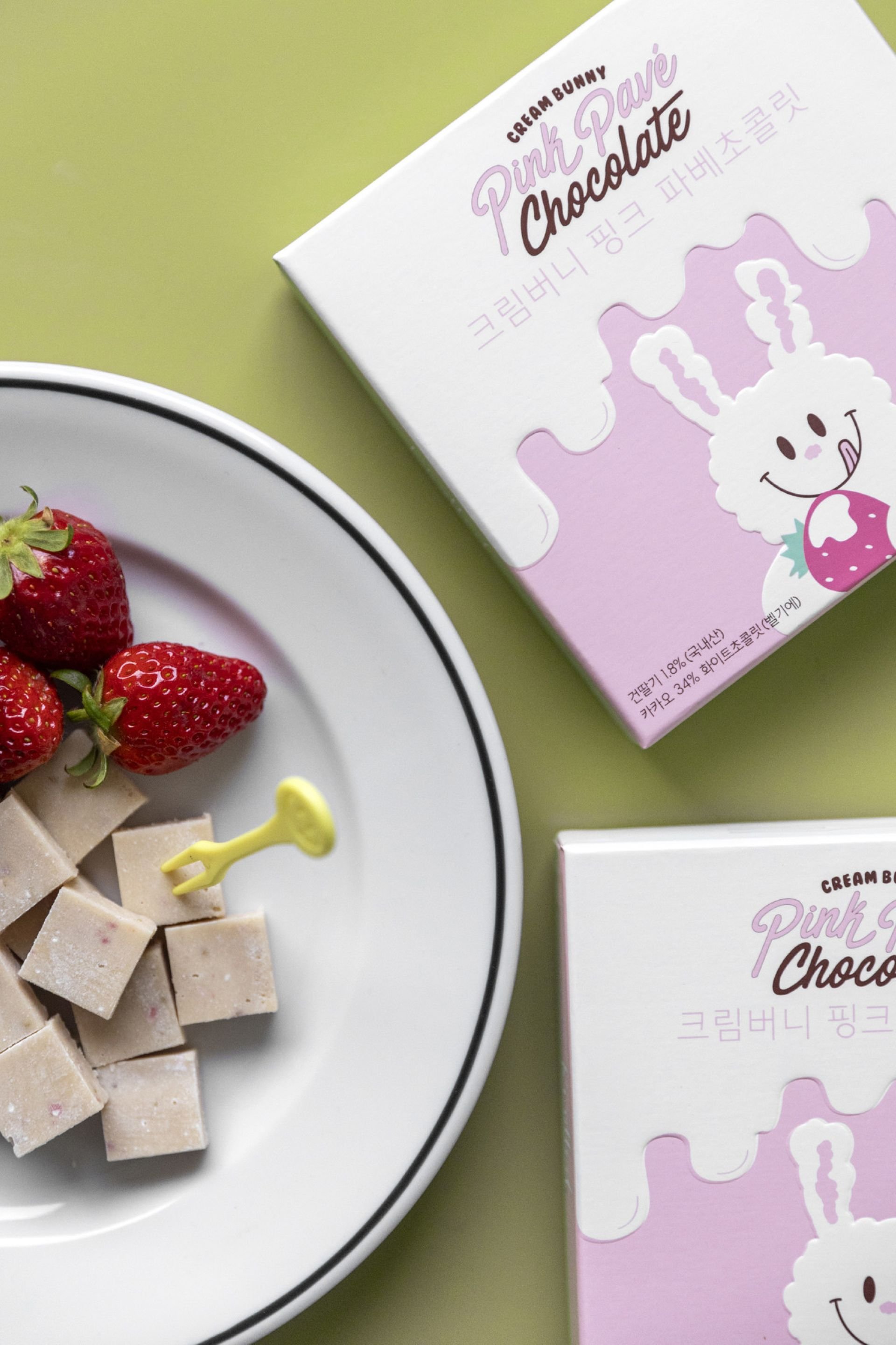 노티드 브랜드 디자인