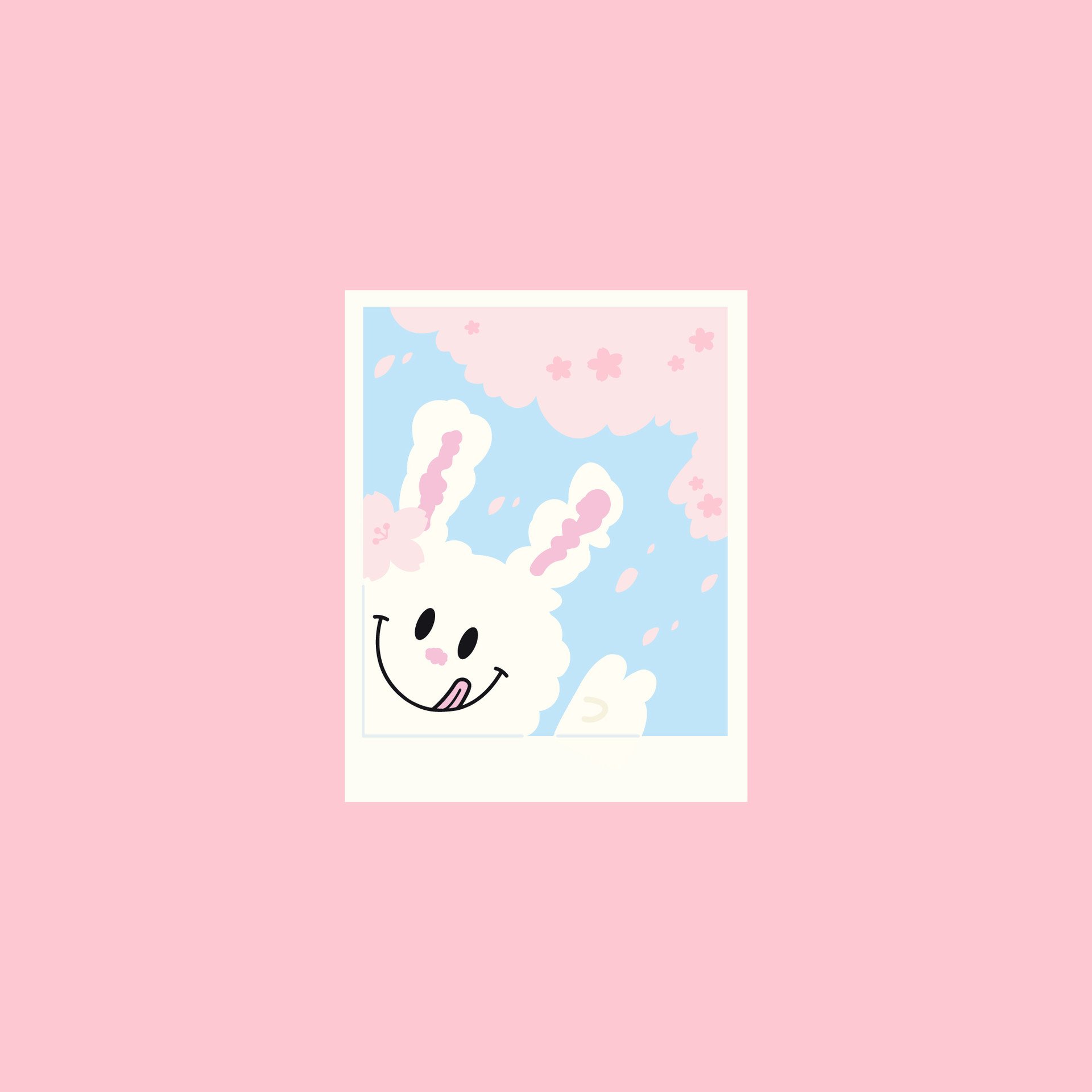 노티드 브랜드 디자인