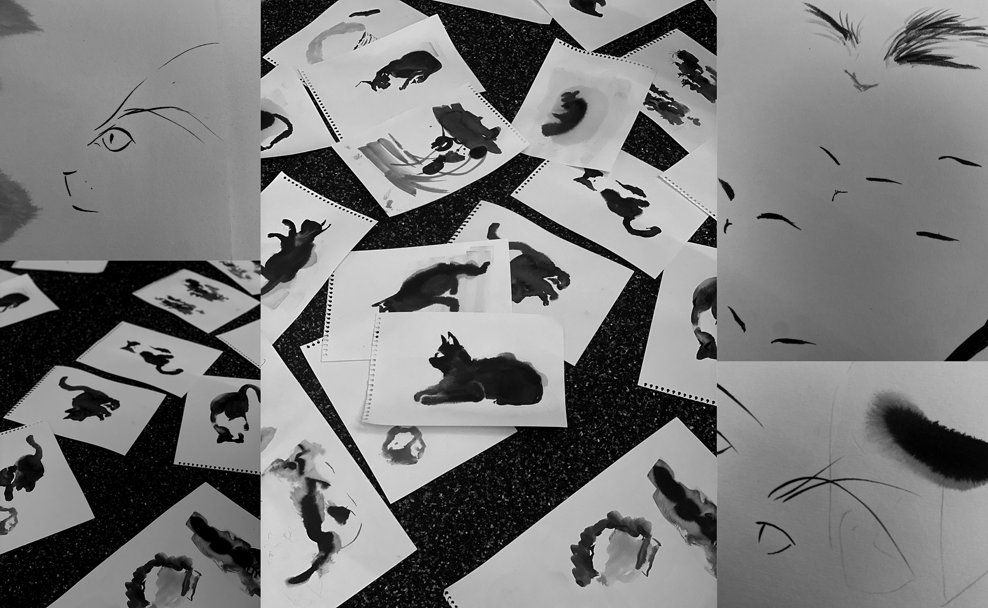 도슬박 브랜드 디자인