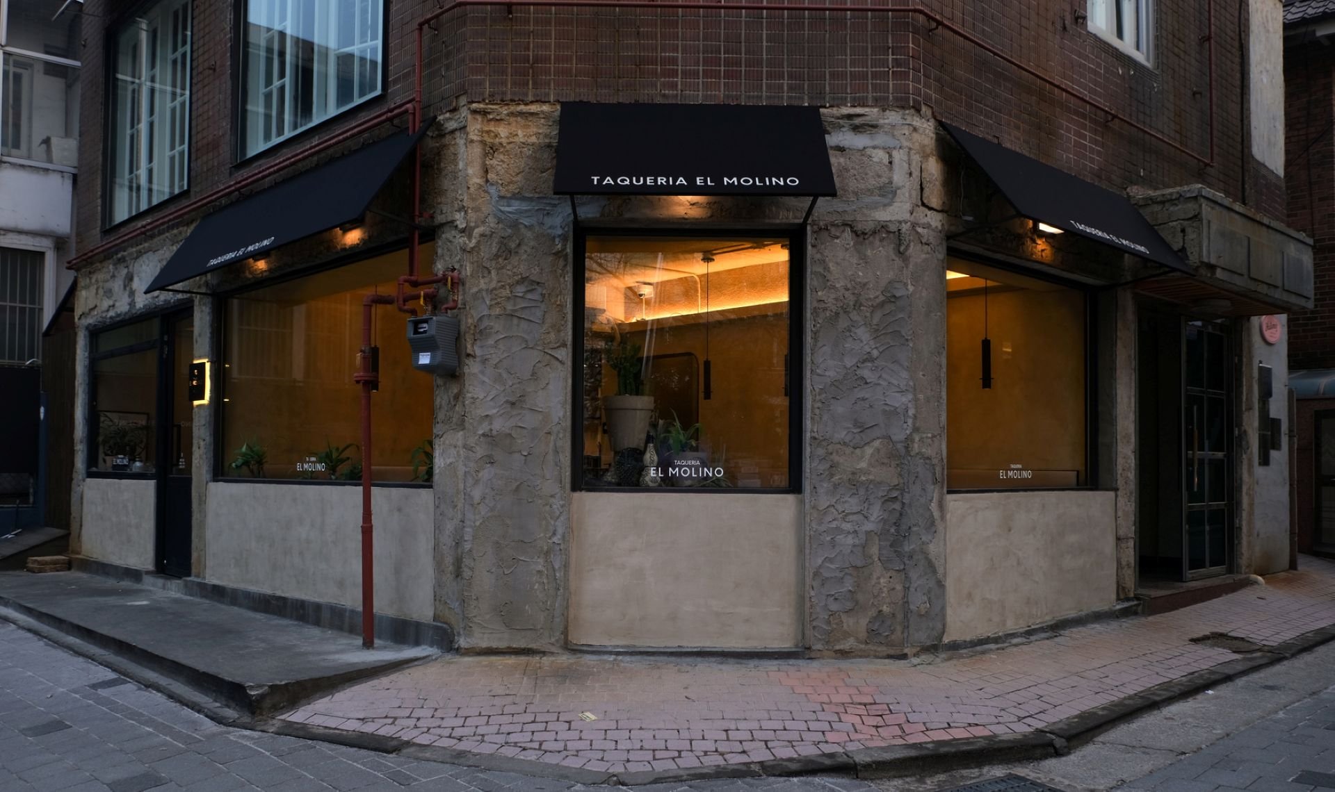 EL MOLINO
브랜드 디자인