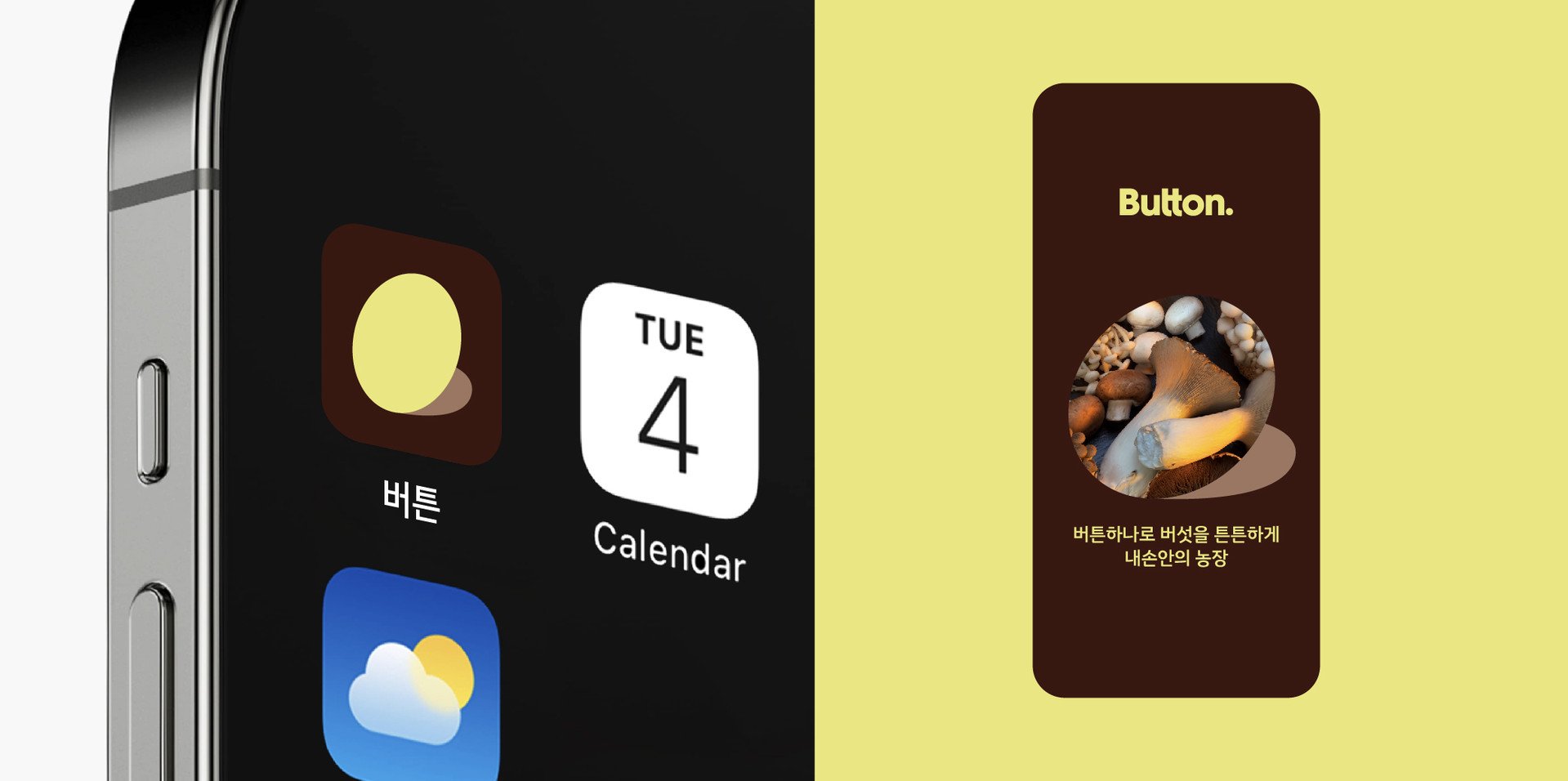 버튼
브랜드
디자인