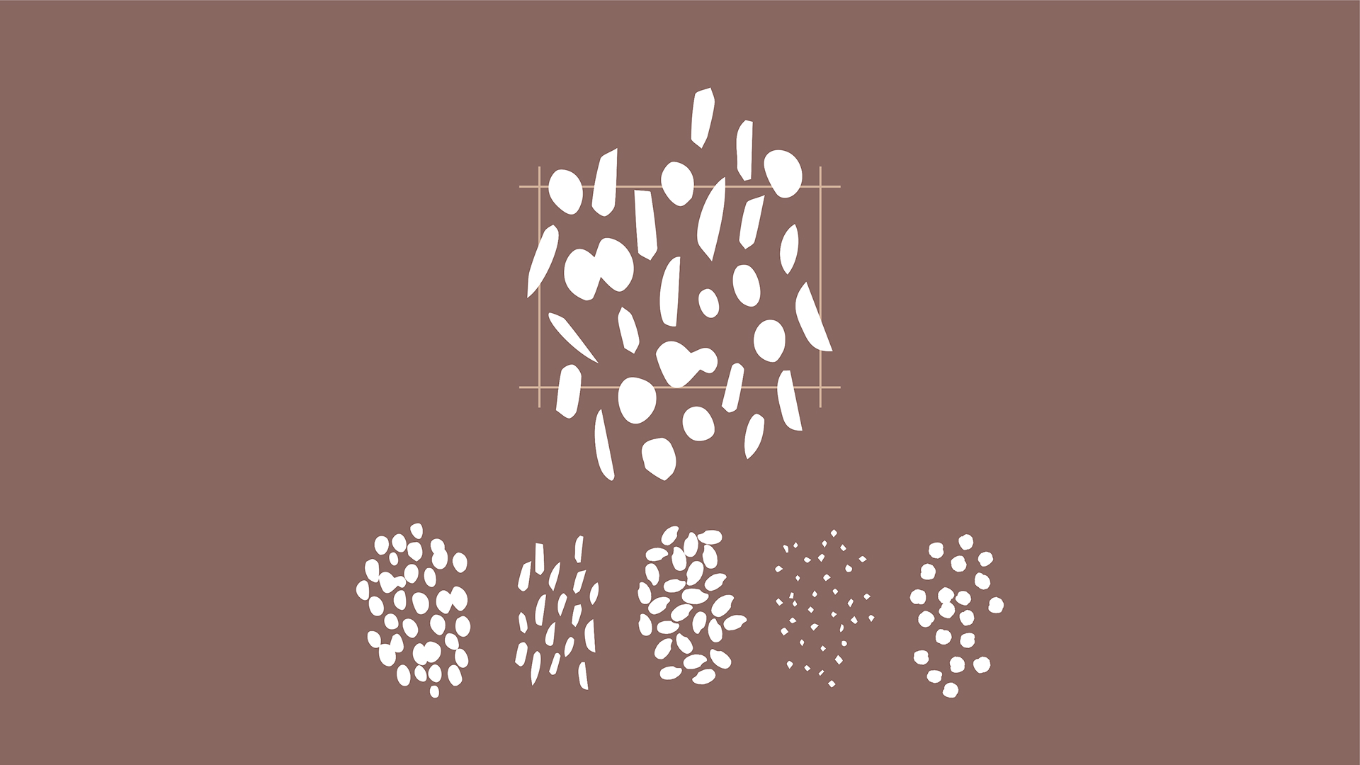 도슬박 브랜드 디자인