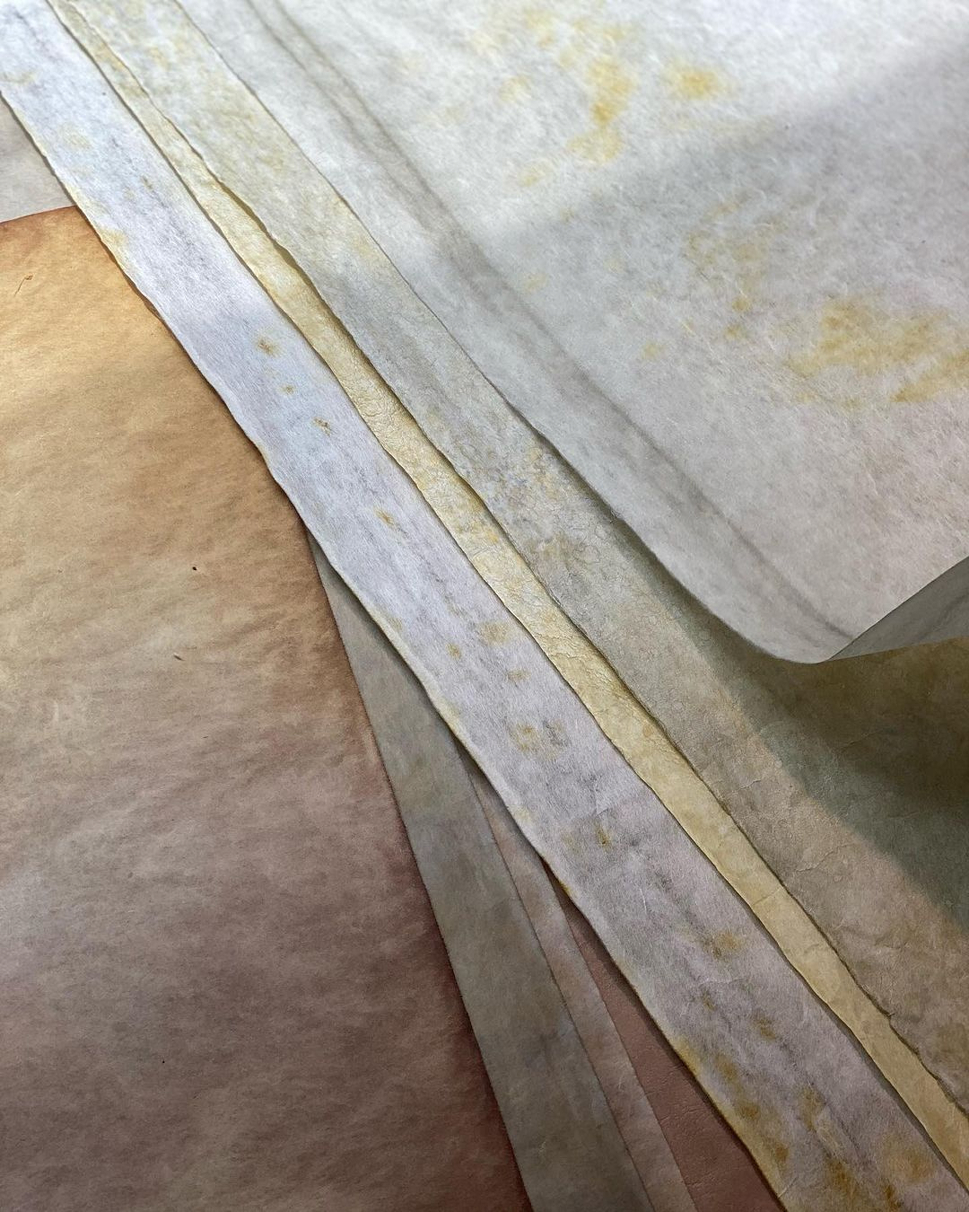 계월 브랜드 디자인