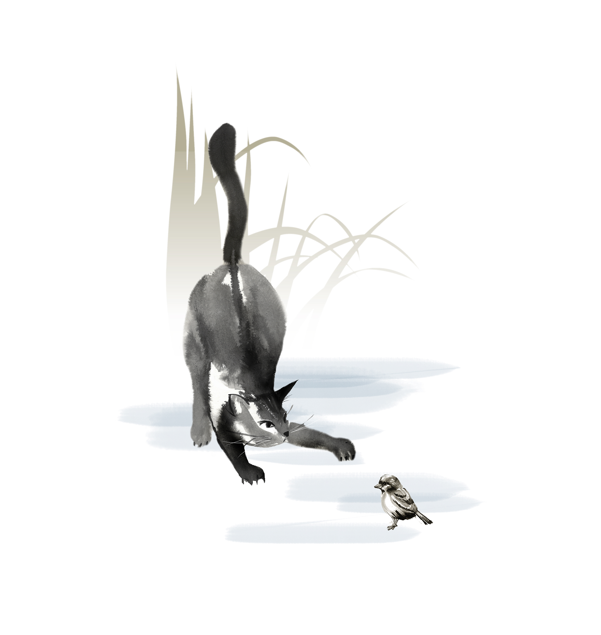 도슬박 브랜드 디자인