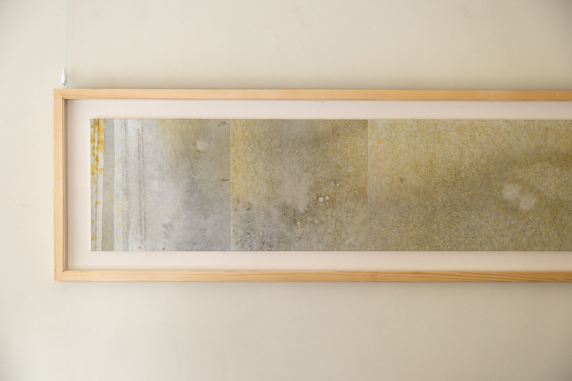 계월 브랜드 디자인