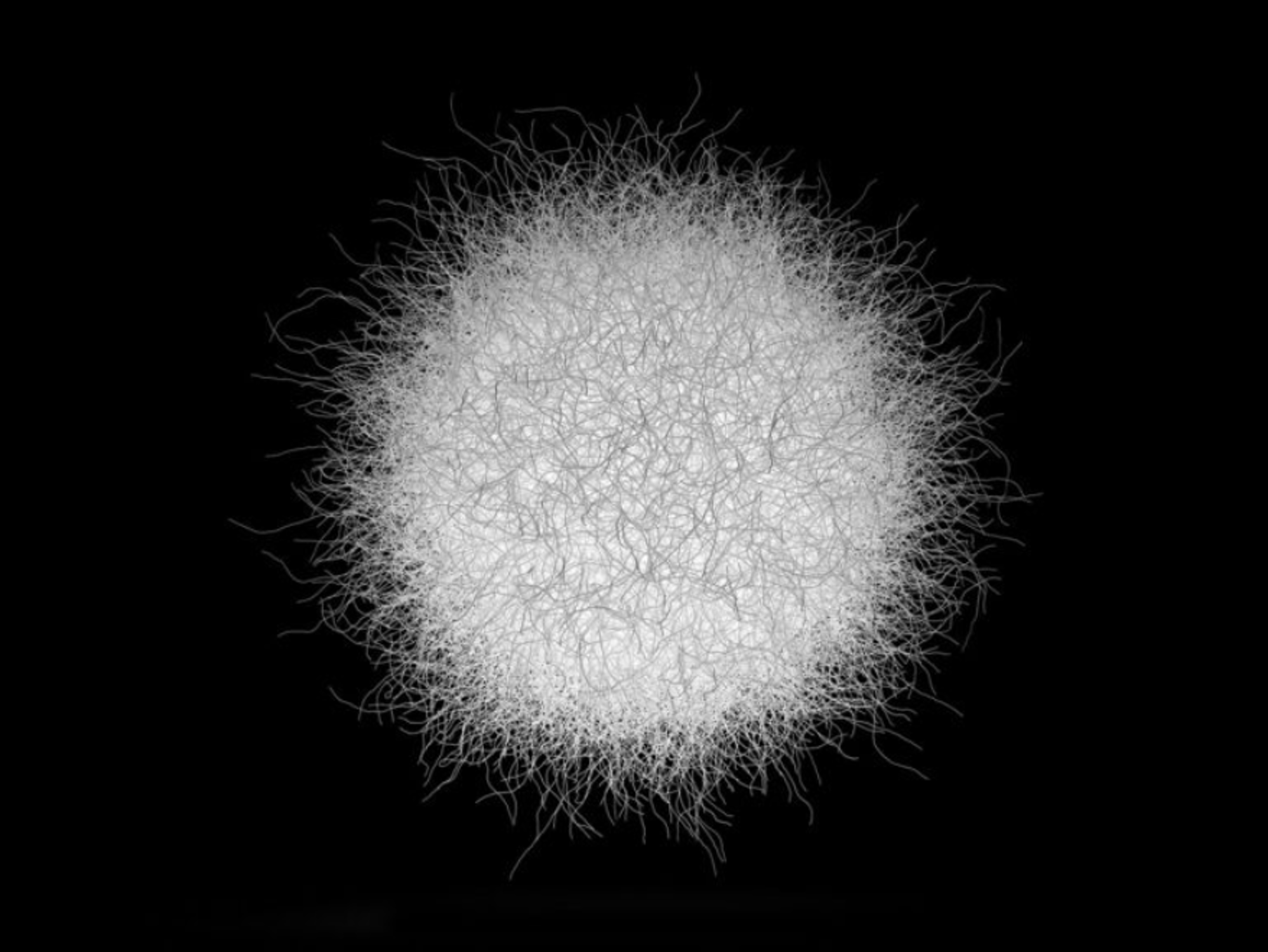 高效且半永久性的脱毛