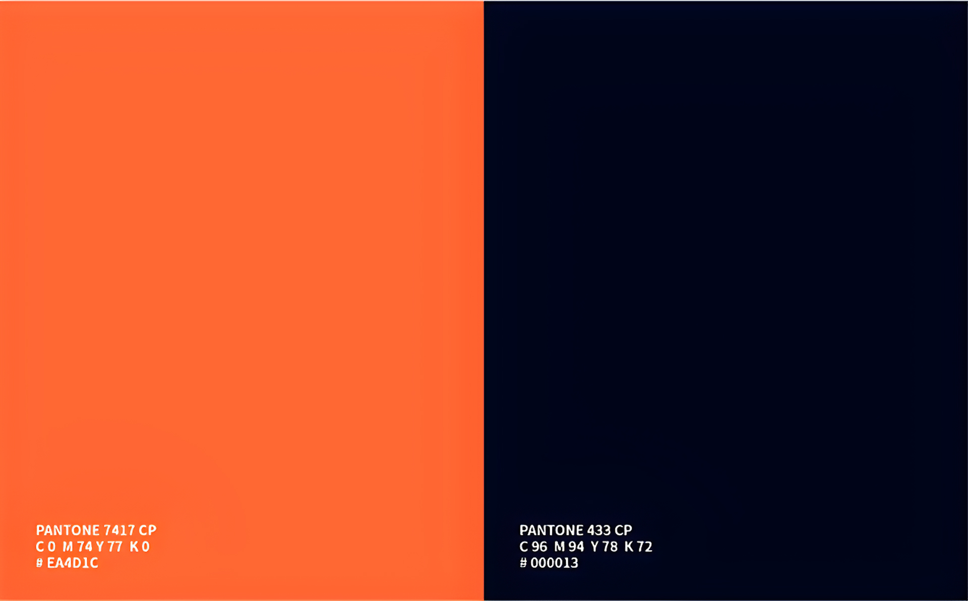 대디스 바베큐 브랜드 디자인