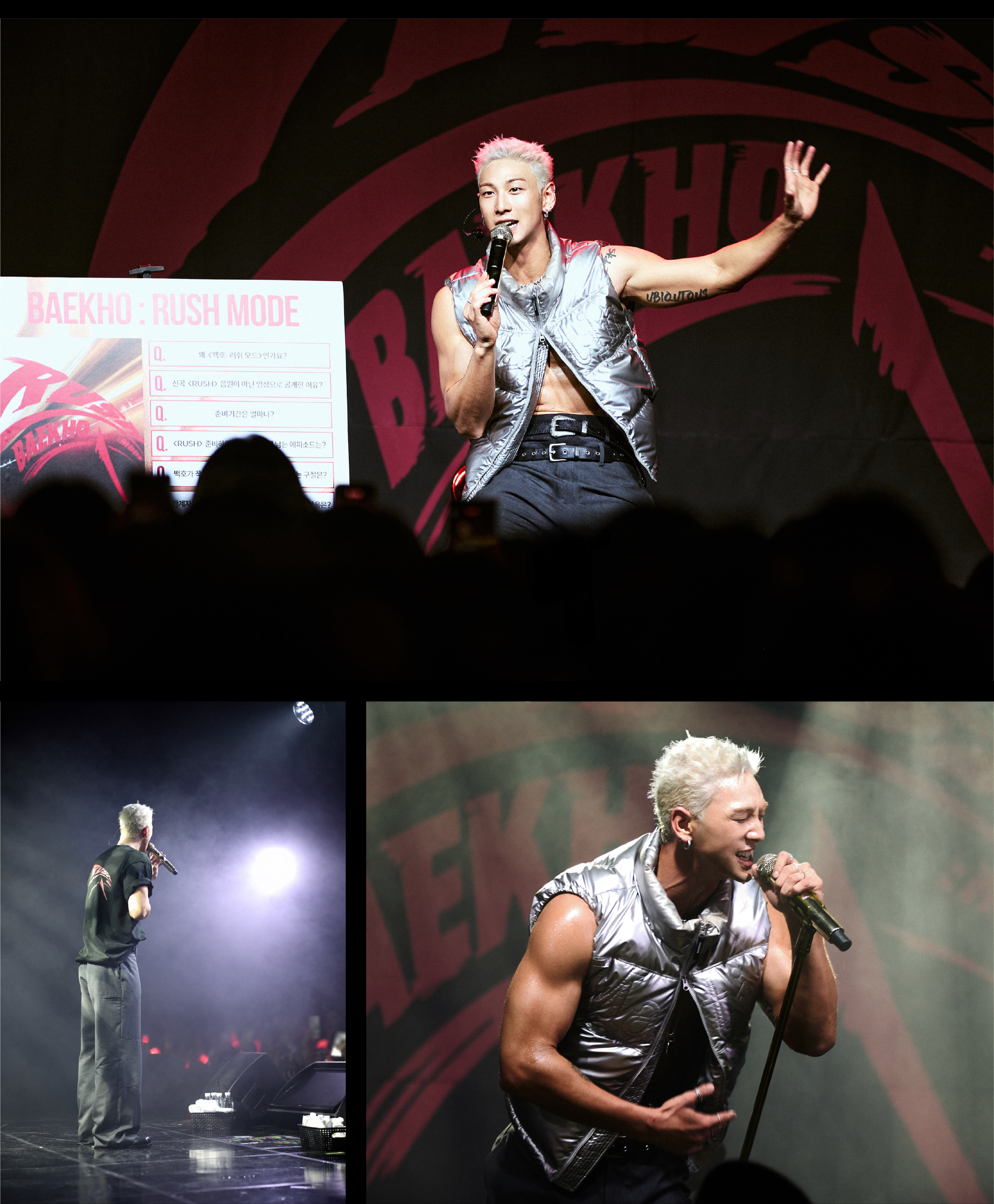 백호 브랜드 디자인