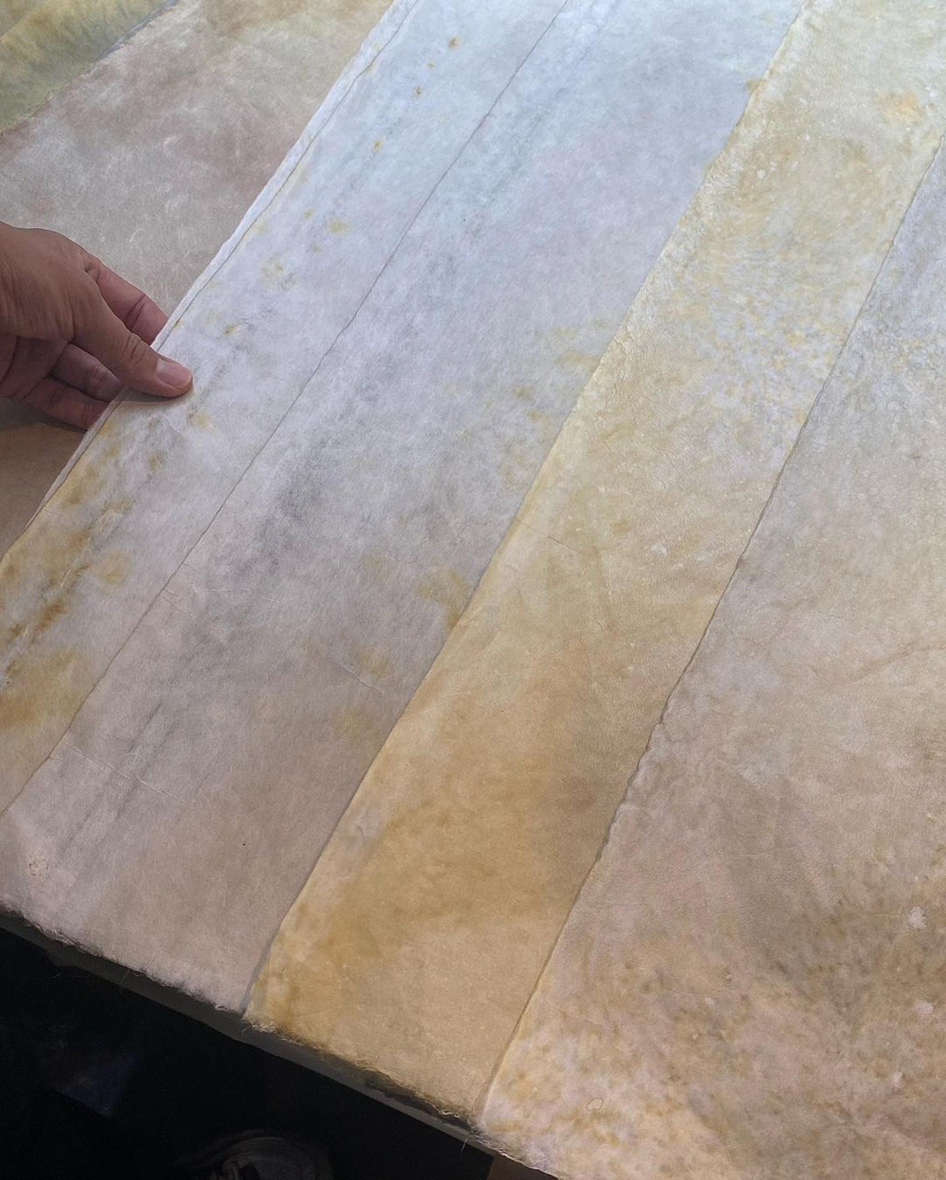 계월 브랜드 디자인