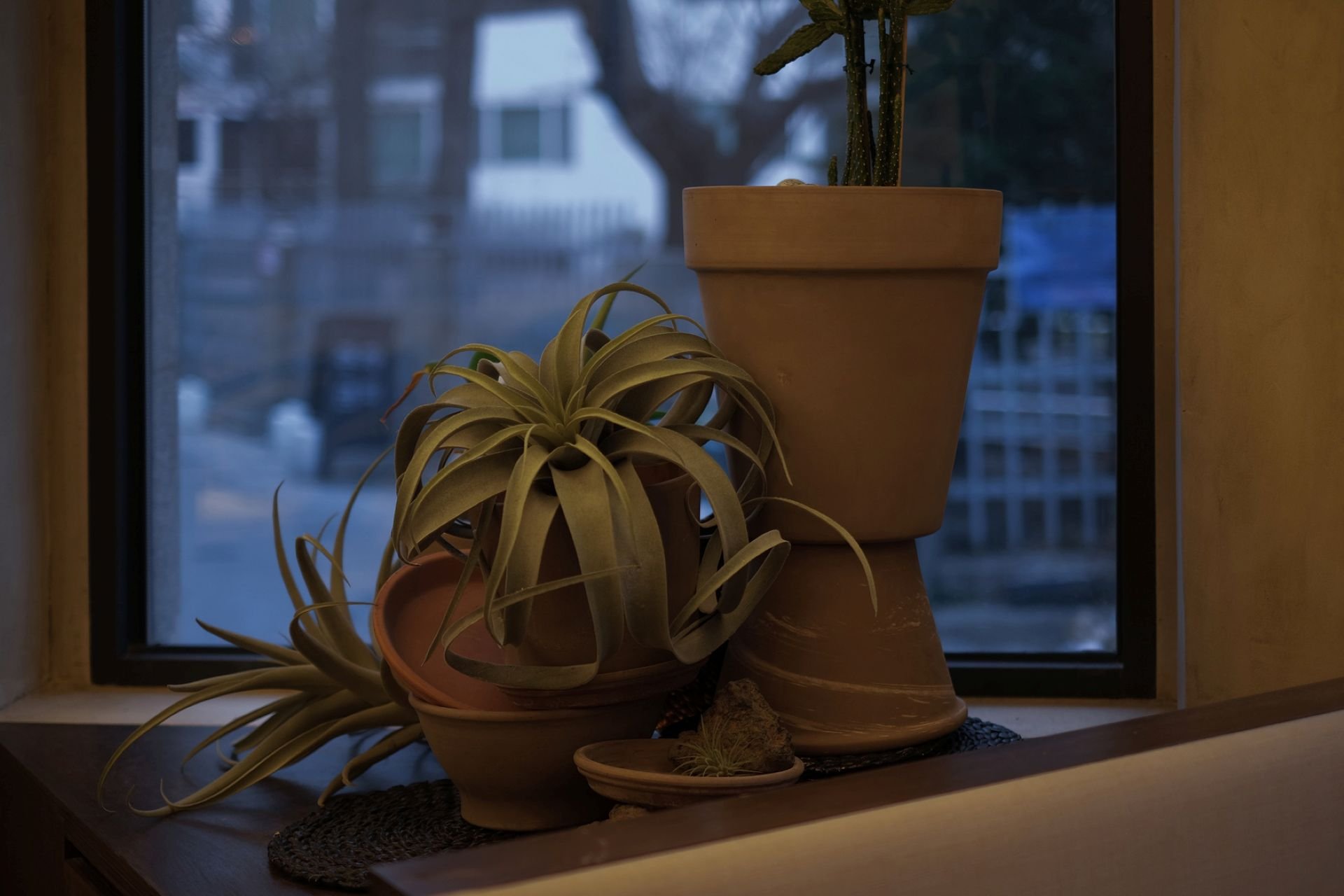 EL MOLINO
브랜드 디자인