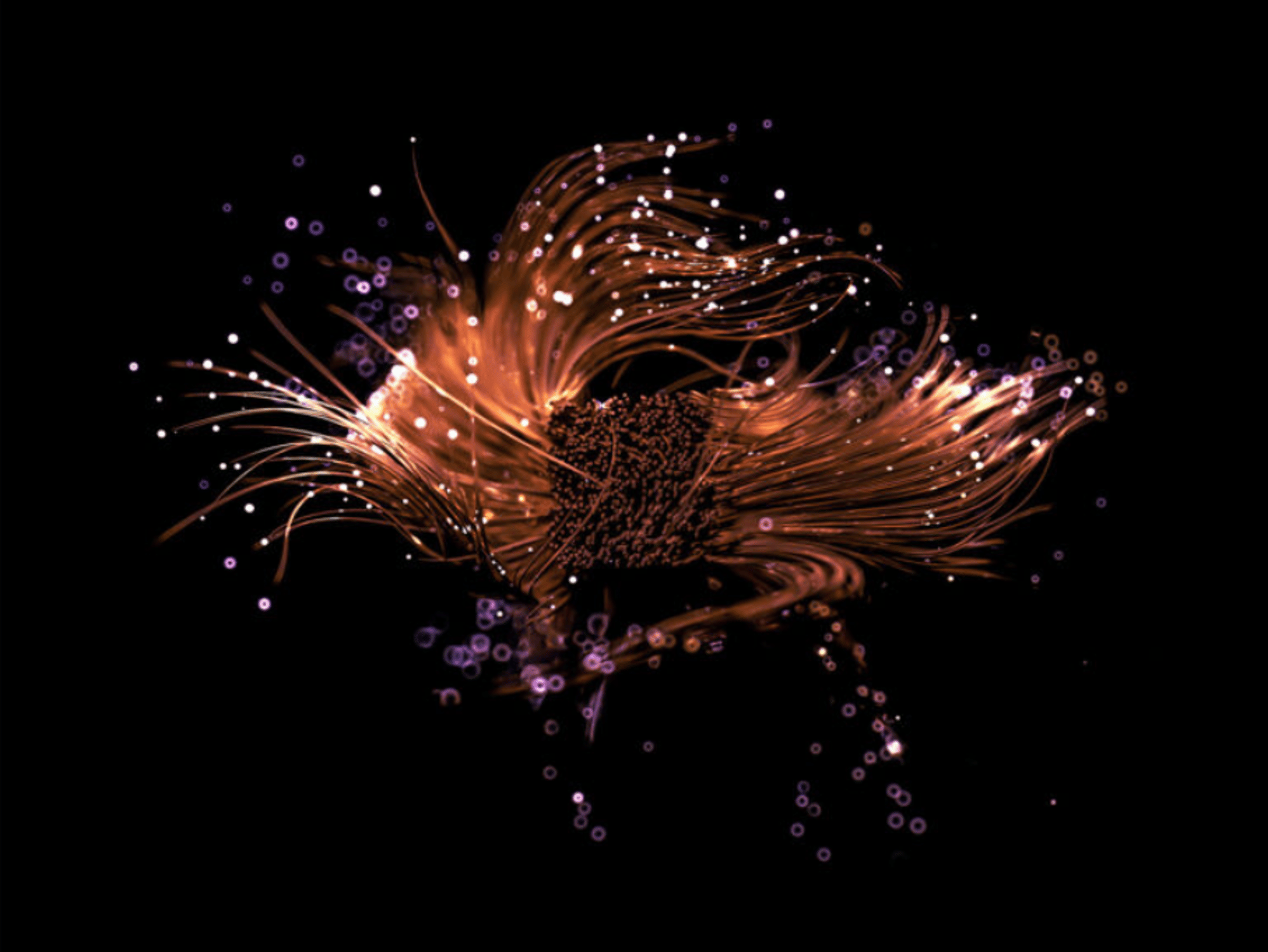 四重疼痛缓解系统 低疼痛脱毛