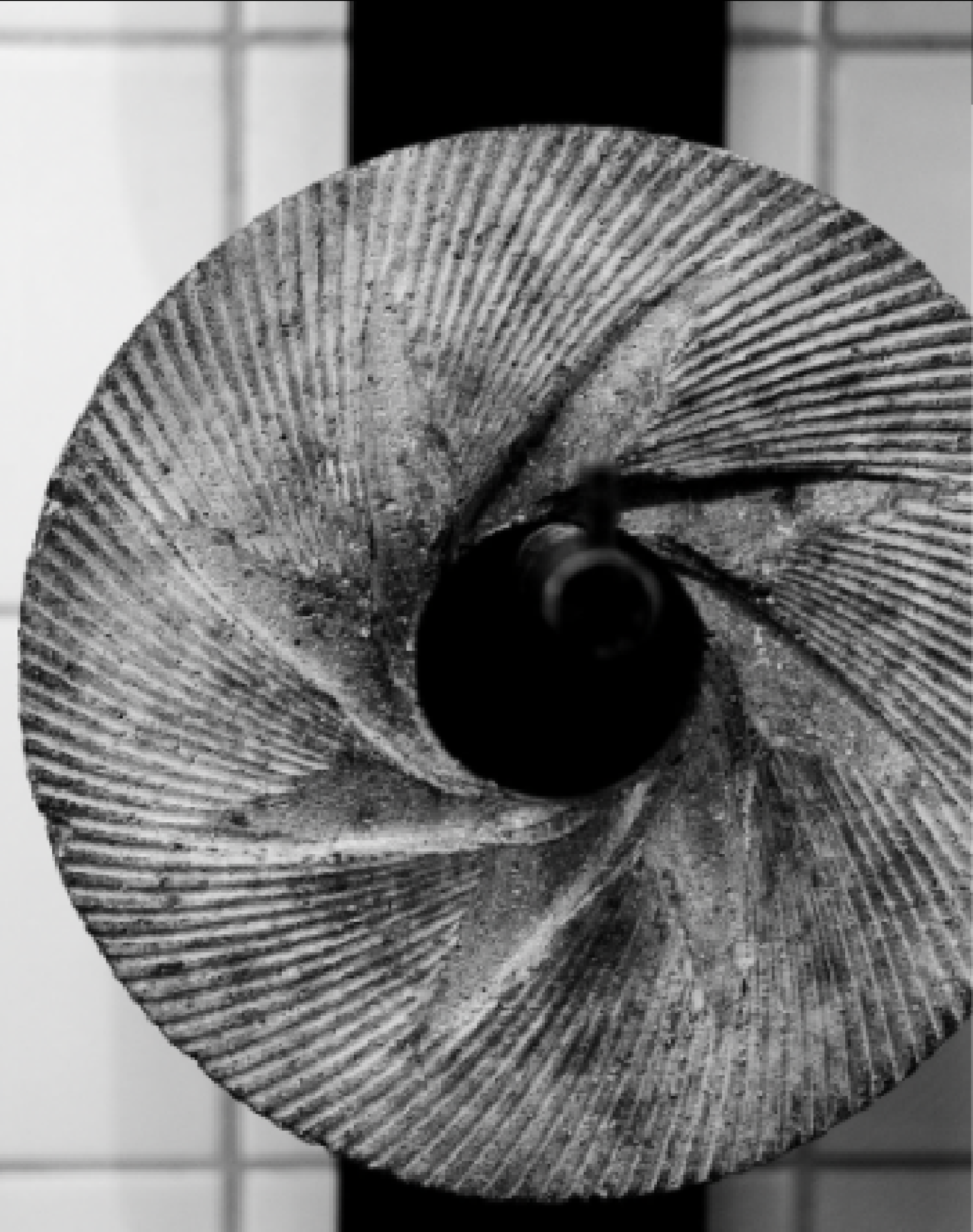 EL MOLINO
브랜드 디자인