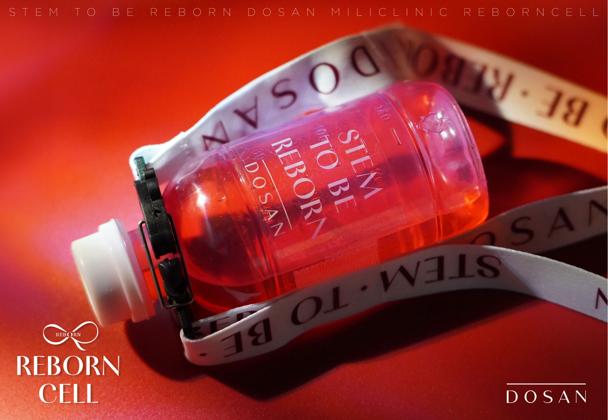 A special journey to rebirth your body and mind.