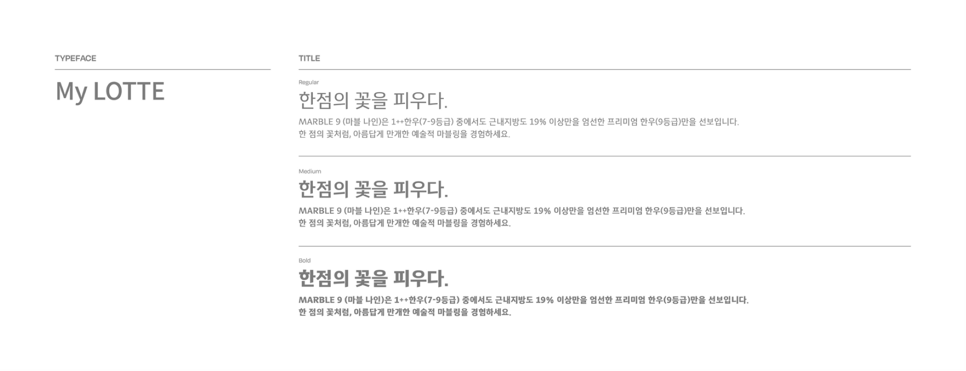 마블9 브랜드 디자인