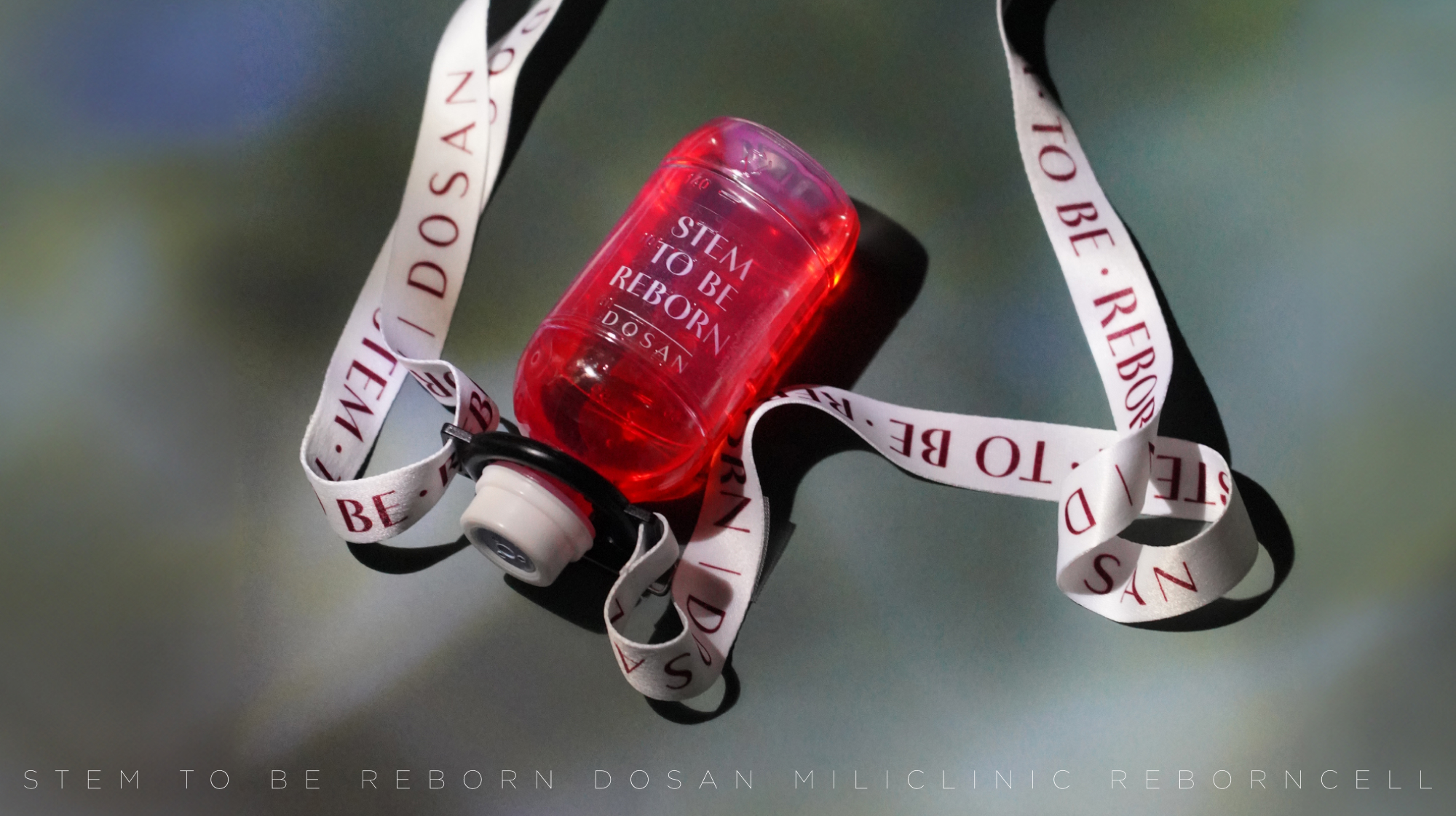 The most fundamental anti-aging solution