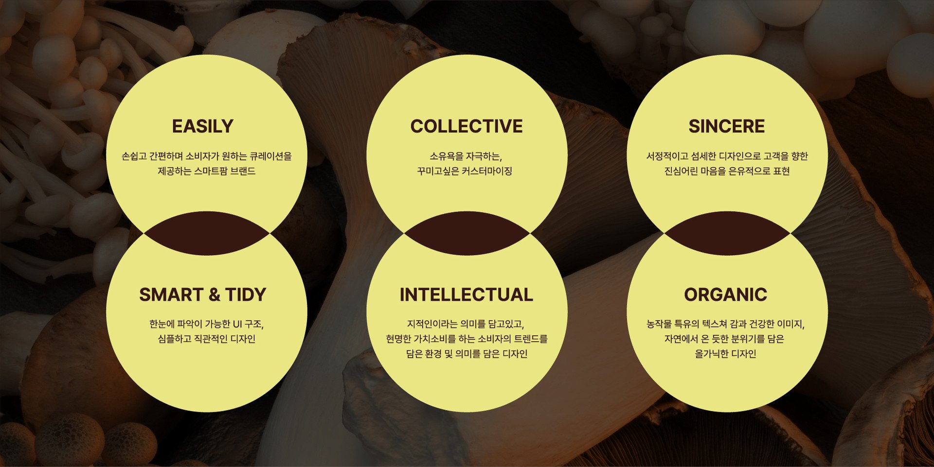 버튼
브랜드
디자인