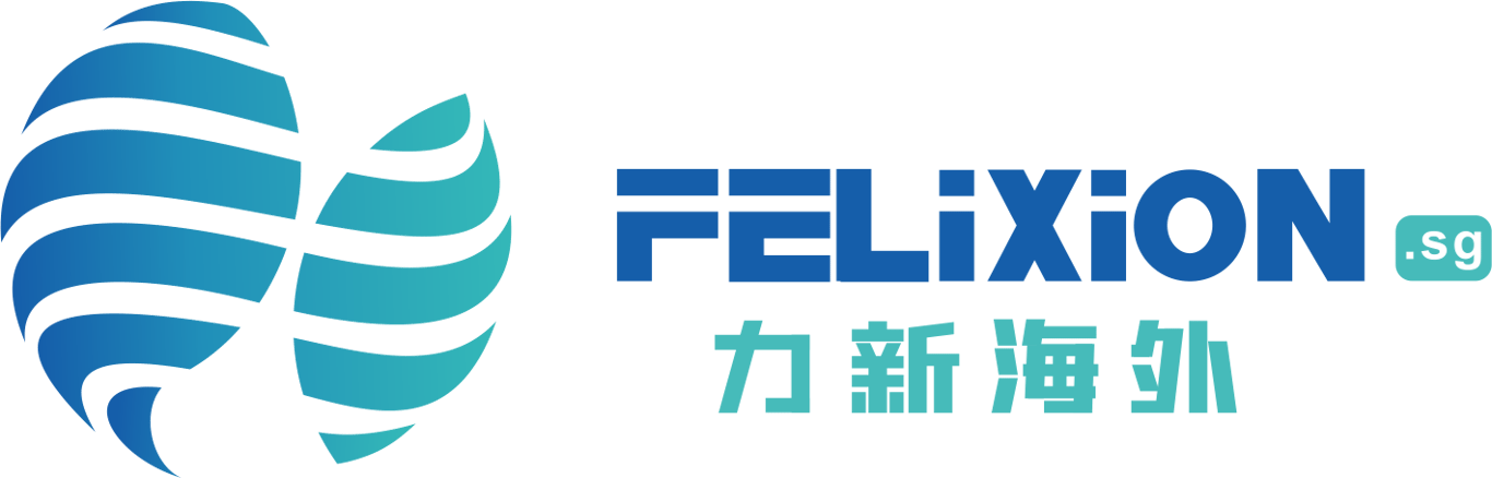 FELIXION CONSULTING PTE LTD