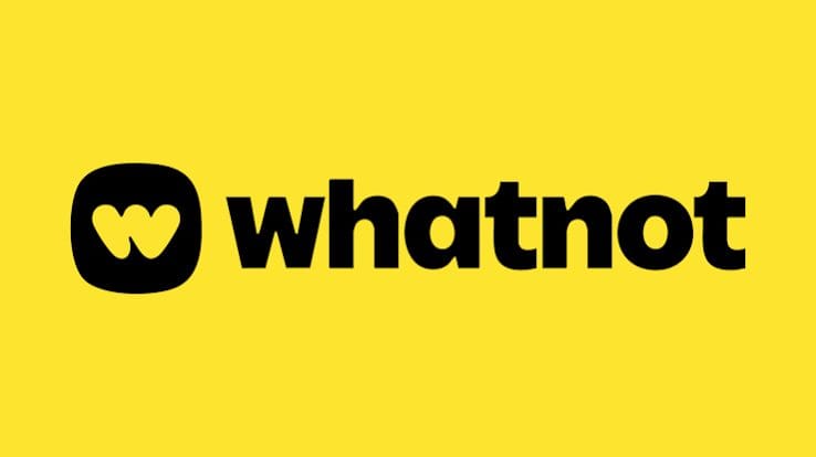 Whatnot live selling example