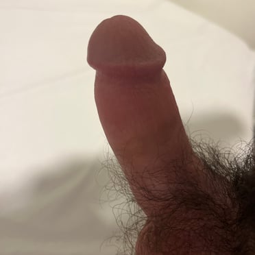Beautifully shaped cock with a bush of dark pubic hair, full picture.