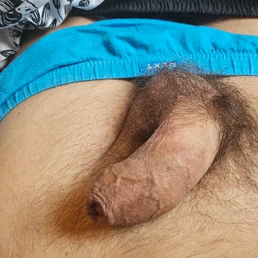 A thick, veiny cock with a bushy pubic hair pic.