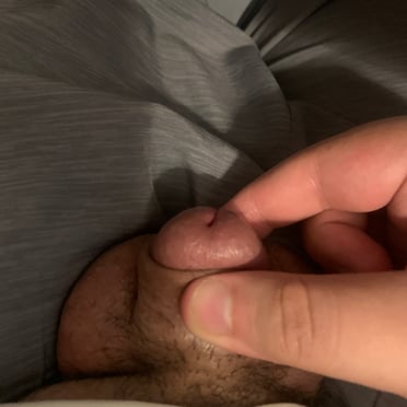 Beautifully shaped cock with light pubic hair, showing off its smooth foreskin in this close-up pic.