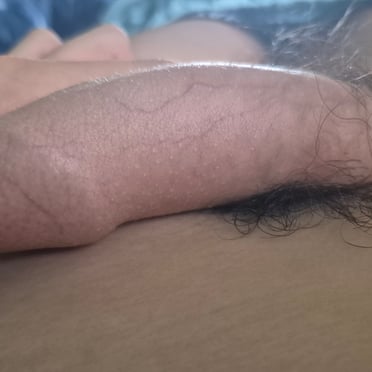 Beautifully veiny dick with thick pubic hair, a real Croatian cock pic.