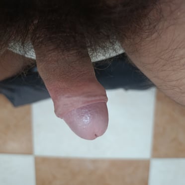 Here's the alt text for the image:

A juicy, thick cock with bushy pubic hair, perfect for hot pics.