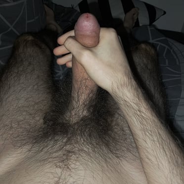 A beautiful, thick cock with a full bush of natural pubic hair, perfect for any man who loves a hairy guy.
