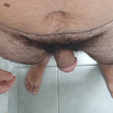 Beautiful thick cock with a hairy bush and substantial balls.