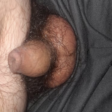 Beautifully thick cock with hairy balls in this intimate pic.
