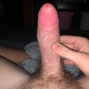 Beautifully veiny dick with a thick shaft and hairy bush, 16.5cm of pure Belgian cock, pics.