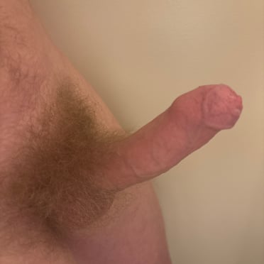 Here is a beautiful, thick dick with nice hairy balls and a lightly shaved look, measuring around 16.5cm, a perfect pic.