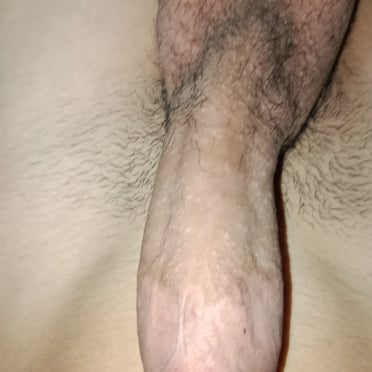 A thick, juicy dick with hairy balls, showing about 19cm of cock in this closeup pic.