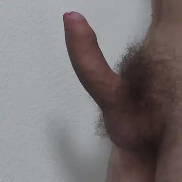 A thick, veiny cock with bushy pubic hair, a beautiful pic.