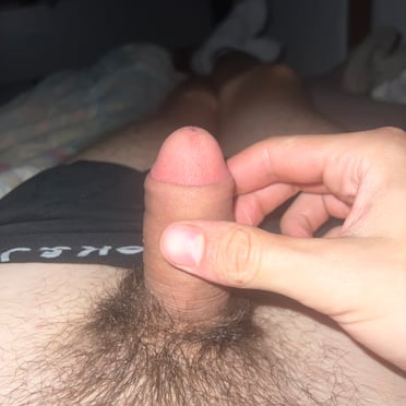 A beautiful, thick dick with bushy pubic hair, showing off its perfect head in this close-up pic.