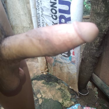 A thick, veiny cock with bushy pubic hair, along with prominent balls, captured in this outdoor pic.