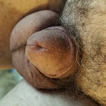 Close-up photo of a thick, veiny cock with hairy balls and a bushy bush.