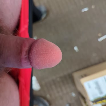 Showcasing a beautiful, soft dick pic with a lightly furry appearance.