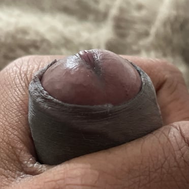 Close-up dick pic with a thick, dark shaft and a beautiful head surrounded by a hand.