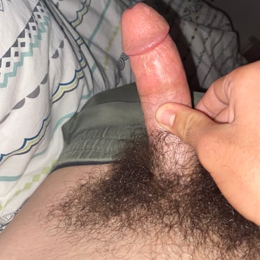 Juicy thick cock with bushy pubic hair, a beautiful pic.