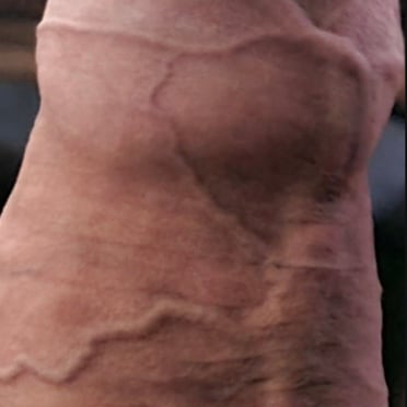 A beautiful, thick, veiny cock with a slight bush, a great specimen for your collection.